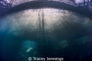 Under the boat by Tracey Jennings 